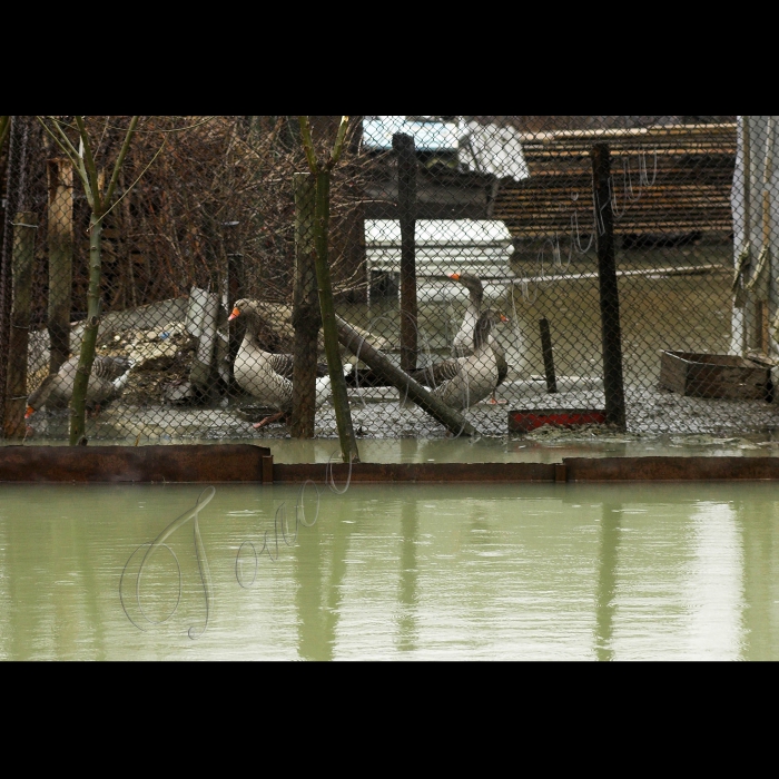 5 березня 2010 Одеська область, місто Вилкове.