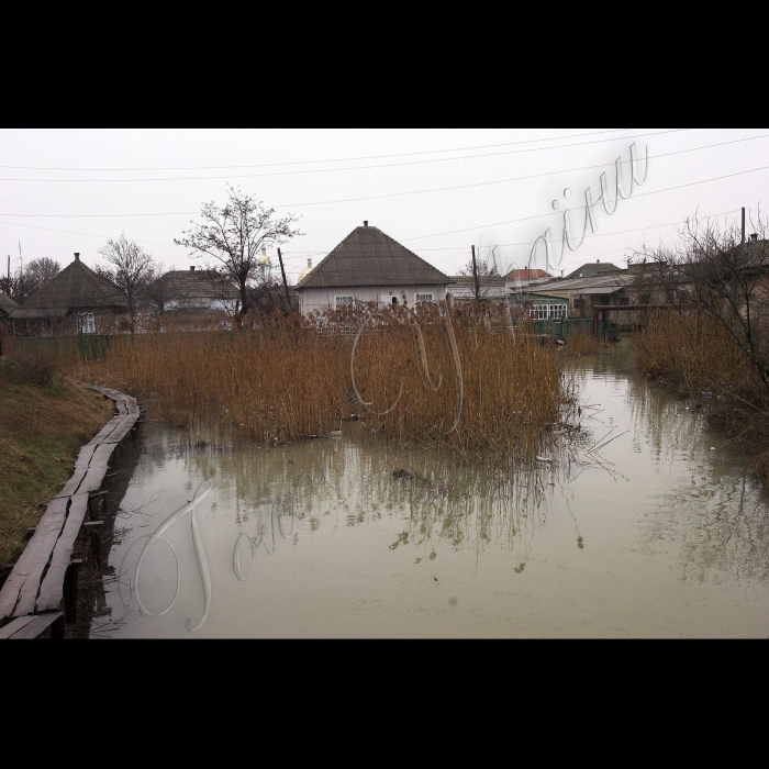 5 березня 2010 Одеська область, місто Вилкове.