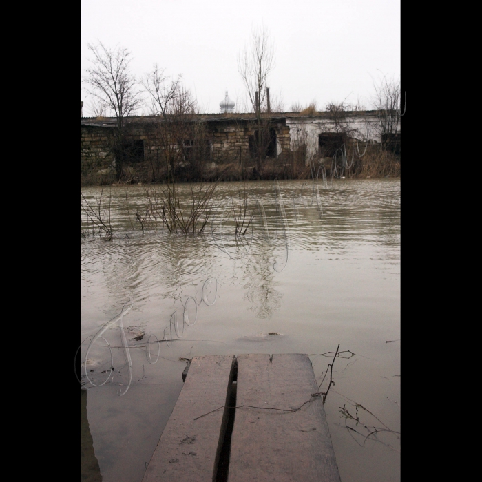 5 березня 2010 Одеська область, місто Вилкове.