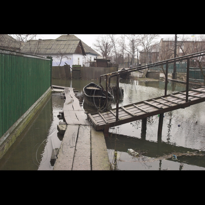 5 березня 2010 Одеська область, місто Вилкове.
