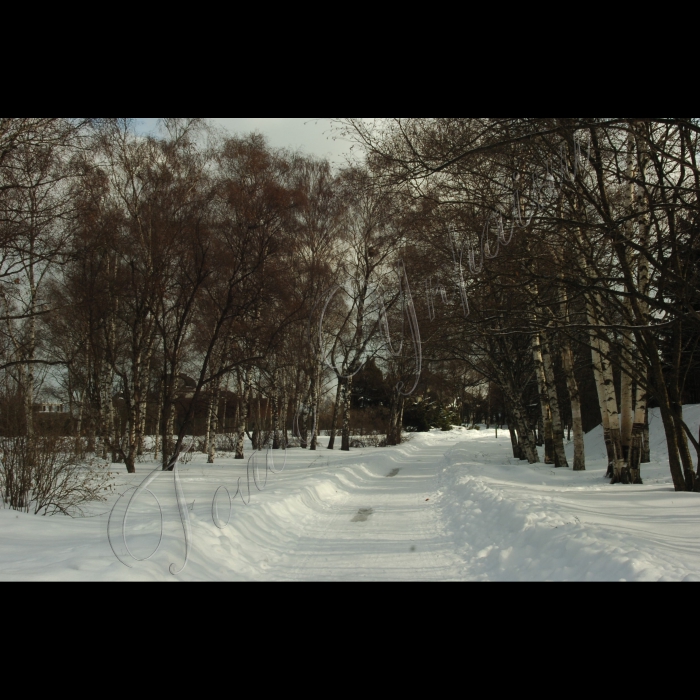 9 березня 2010 Київ, Центральний ботанічний сад НАНУ.