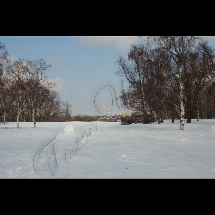9 березня 2010 Київ, Центральний ботанічний сад НАНУ.