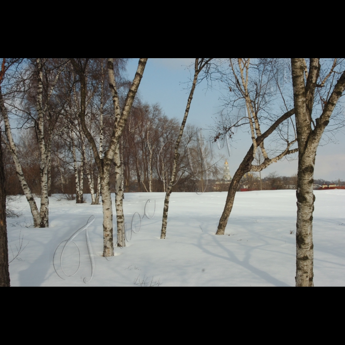 9 березня 2010 Київ, Центральний ботанічний сад НАНУ.