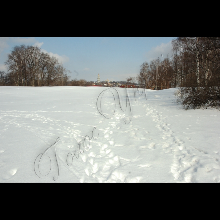9 березня 2010 Київ, Центральний ботанічний сад НАНУ.