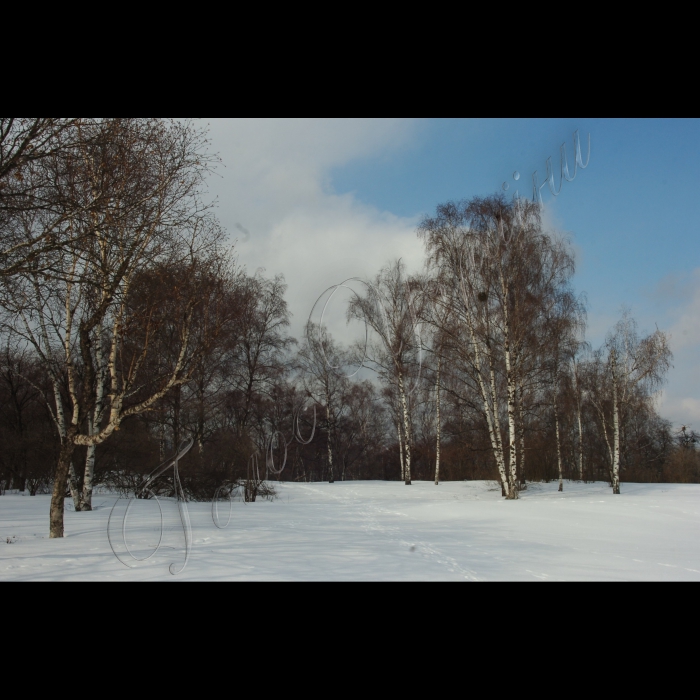 9 березня 2010 Київ, Центральний ботанічний сад НАНУ.