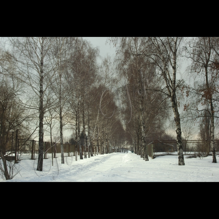 9 березня 2010 Київ, Центральний ботанічний сад НАНУ.