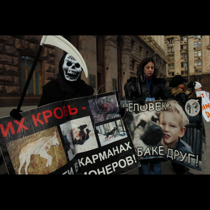 11 березня 2010 біля КМДА відбулась акція «Адміністрація смерті», організована громадською ініціативою «Форум допомоги тваринам», з приводу незаконного та варварського масового отруєння тварин у м. Києві.
