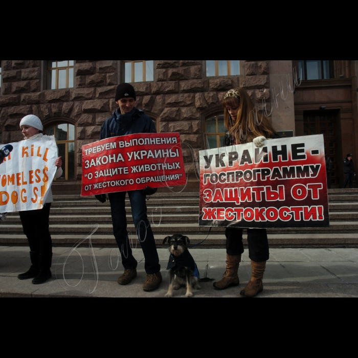 11 березня 2010 біля КМДА відбулась акція «Адміністрація смерті», організована громадською ініціативою «Форум допомоги тваринам», з приводу незаконного та варварського масового отруєння тварин у м. Києві.