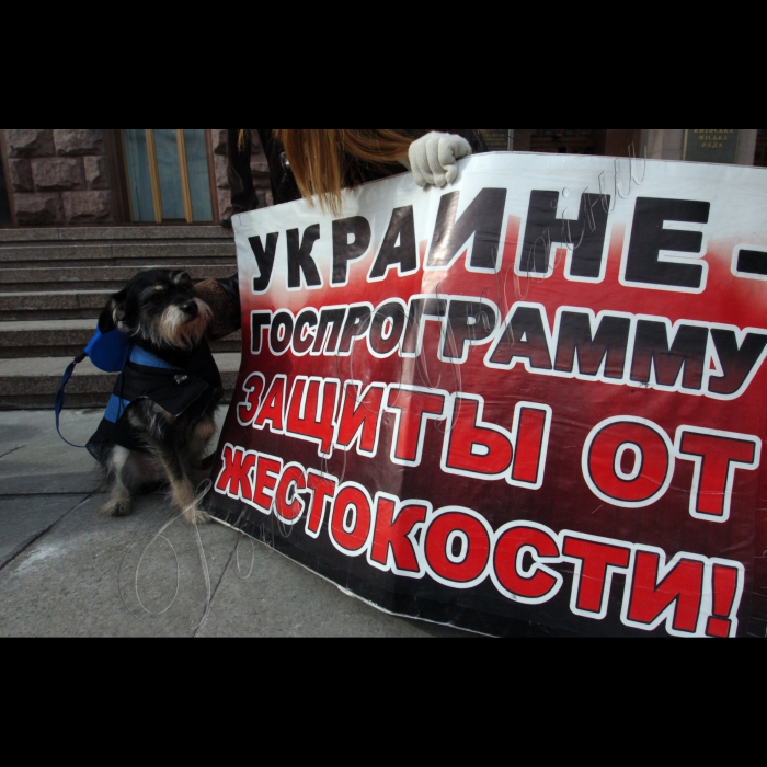 11 березня 2010 біля КМДА відбулась акція «Адміністрація смерті», організована громадською ініціативою «Форум допомоги тваринам», з приводу незаконного та варварського масового отруєння тварин у м. Києві.