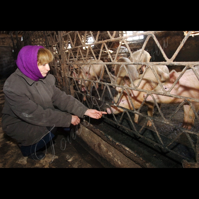 26 березня 2010 Харківська область, селище Хорошеве. Хорошевський геріатричний пансіонат (для літніх людей).