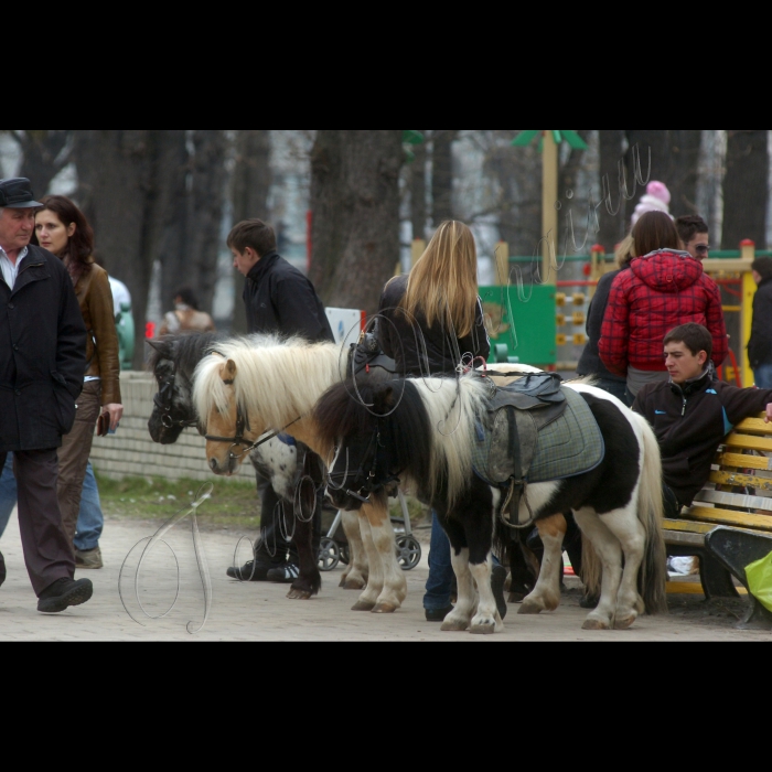 10 квітня 2010 Київ, парк імені Шевченка.
Відкриття дитячого будинку мистецтв.