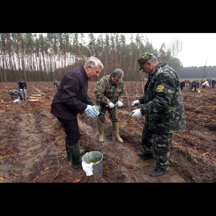 17 квітня 2010 урочисте відкриття завершального заходу акції «Майбутнє лісу в твоїх руках». Організатор - Держкомлісгосп. У  заході візьмуть участь представники КМУ, міністерств, інших центральних органів виконавчої влади, громадських організацій та учні шкільного лісництва середньої освітньої школи села Нежиловичі.