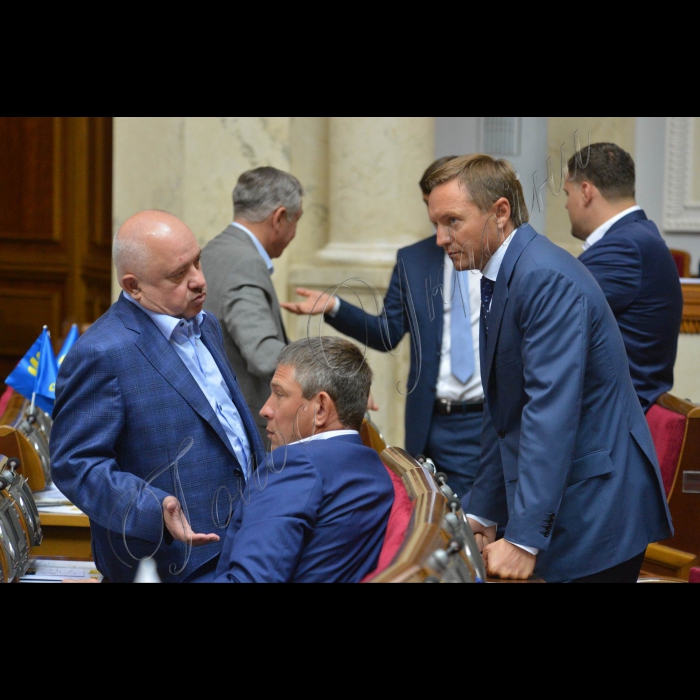 5 липня 2016 пленарне засідання Верховної Ради України. Віктор Развадовський ,Володимир Бандуров(Воля народу)