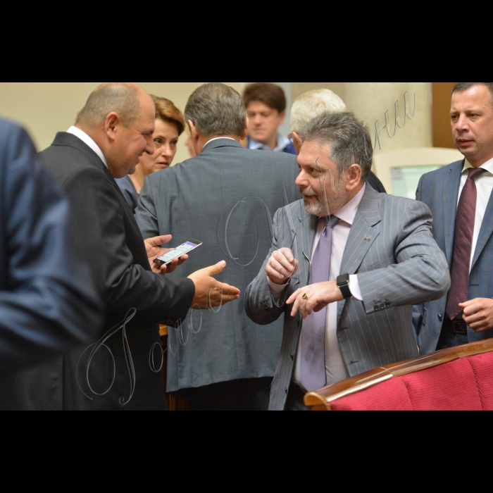 5 липня 2016 пленарне засідання Верховної Ради України. Борис Розенблат (БПП).