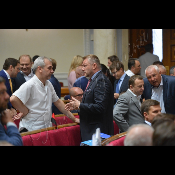 5 липня 2016 пленарне засідання Верховної Ради України. Мусій, Євген Рибчинський(Воля народу)