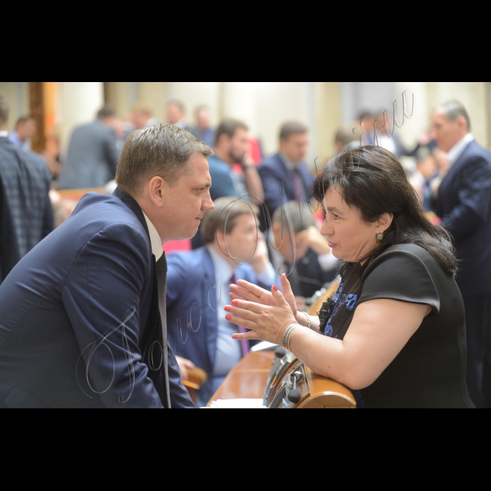 5 липня 2016 пленарне засідання Верховної Ради України. Юрій Павленко ОП, Марія Матіос (БПП).