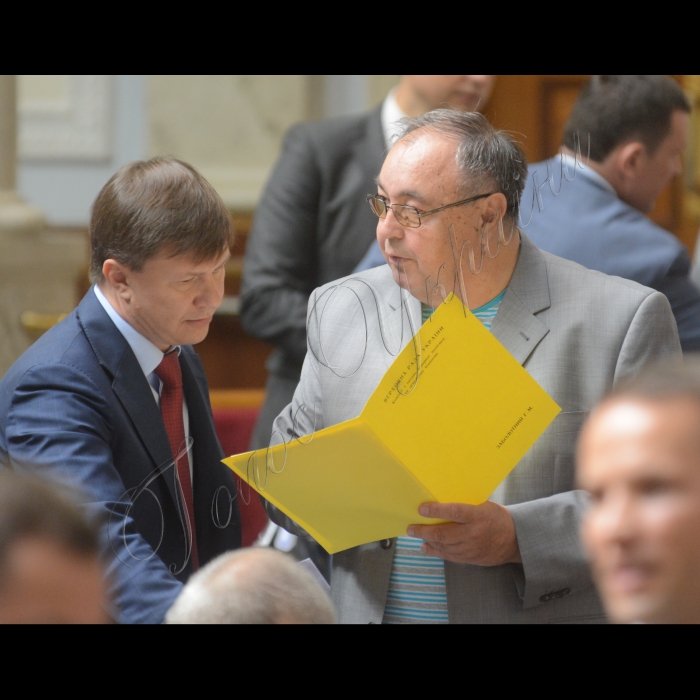 14 липня 2016 пленарне засідання Верховної Ради України. Руслан Демчак БПП, Григорій Заболотний.