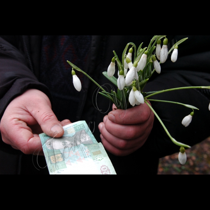 24 лютого 2010 Севастополь, об’єкт №221.