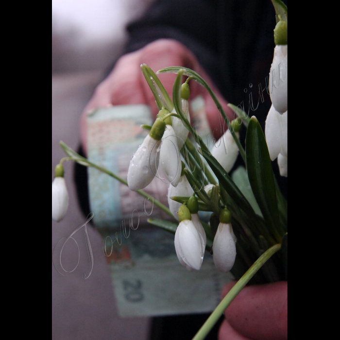 24 лютого 2010 Севастополь, об’єкт №221.