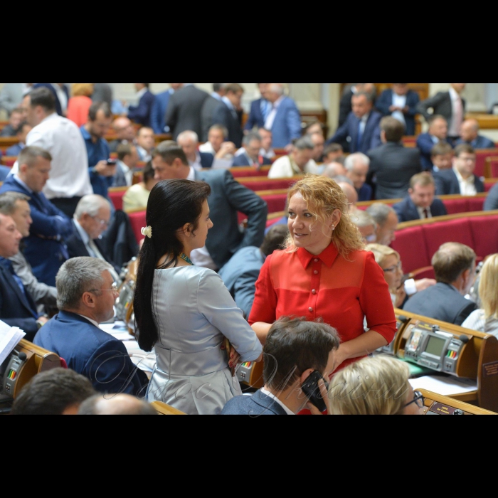 8 вересня 2016 Верховна Рада України.
Вікторія Войціцька (Самопоміч), Ольга Бєлькова – БПП.