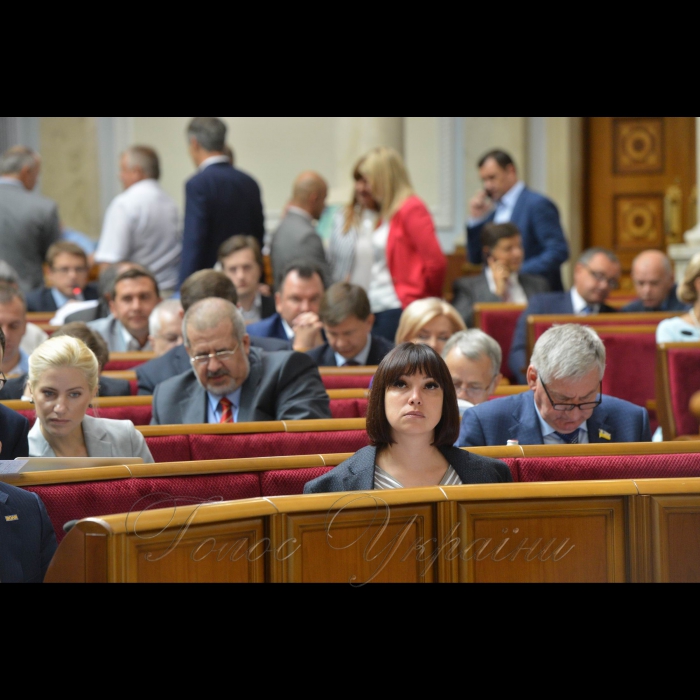 8 вересня 2016 Верховна Рада України.
Тетяна Ричкова-БПП.