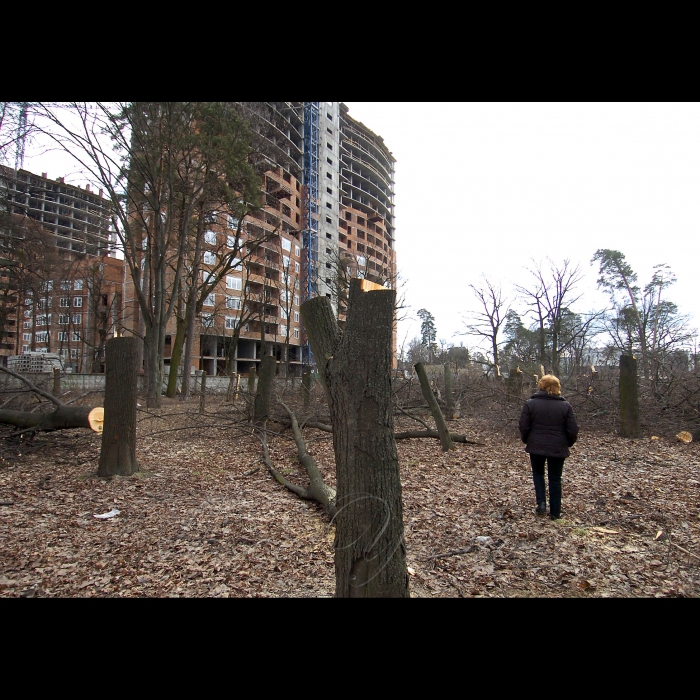 11 березня 2009 Київ, проспект Перемоги. Вирубано дерева під будівництво.
У столичному сквері імені Василя Стуса (проспект Перемоги, 119) невідомі зловмисники вночі зрізали понад 100 дерев, серед яких сосни та дуби віком більше 100 років. Про це повідомив юрист суспільної організації «Зелений світ» Роман Титикало.
«Громадські активісти не дали повністю знищити сквер, але зеленим насадженням було завдано непоправної шкоди», - заявив Титикало.