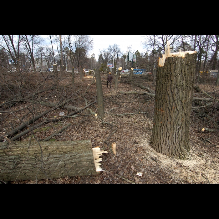 11 березня 2009 Київ, проспект Перемоги. Вирубано дерева під будівництво.
У столичному сквері імені Василя Стуса (проспект Перемоги, 119) невідомі зловмисники вночі зрізали понад 100 дерев, серед яких сосни та дуби віком більше 100 років. Про це повідомив юрист суспільної організації «Зелений світ» Роман Титикало.
«Громадські активісти не дали повністю знищити сквер, але зеленим насадженням було завдано непоправної шкоди», - заявив Титикало.