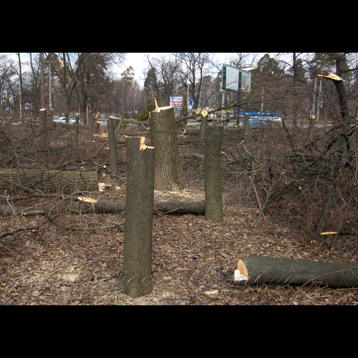 11 березня 2009 Київ, проспект Перемоги. Вирубано дерева під будівництво.
У столичному сквері імені Василя Стуса (проспект Перемоги, 119) невідомі зловмисники вночі зрізали понад 100 дерев, серед яких сосни та дуби віком більше 100 років. Про це повідомив юрист суспільної організації «Зелений світ» Роман Титикало.
«Громадські активісти не дали повністю знищити сквер, але зеленим насадженням було завдано непоправної шкоди», - заявив Титикало.