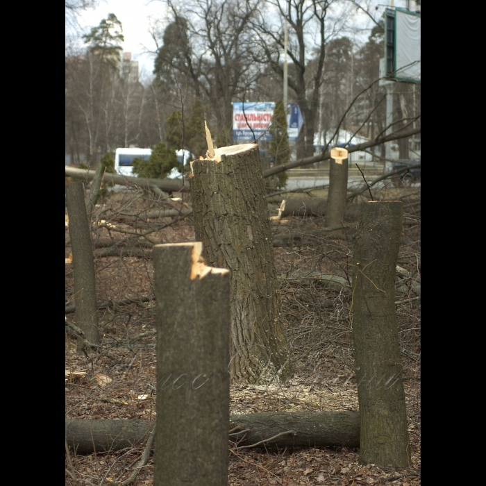11 березня 2009 Київ, проспект Перемоги. Вирубано дерева під будівництво.
У столичному сквері імені Василя Стуса (проспект Перемоги, 119) невідомі зловмисники вночі зрізали понад 100 дерев, серед яких сосни та дуби віком більше 100 років. Про це повідомив юрист суспільної організації «Зелений світ» Роман Титикало.
«Громадські активісти не дали повністю знищити сквер, але зеленим насадженням було завдано непоправної шкоди», - заявив Титикало.