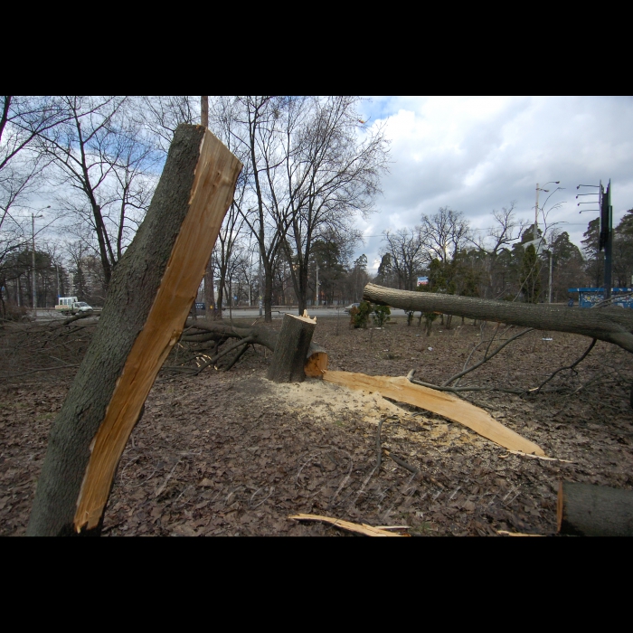 11 березня 2009 Київ, проспект Перемоги. Вирубано дерева під будівництво.
У столичному сквері імені Василя Стуса (проспект Перемоги, 119) невідомі зловмисники вночі зрізали понад 100 дерев, серед яких сосни та дуби віком більше 100 років. Про це повідомив юрист суспільної організації «Зелений світ» Роман Титикало.
«Громадські активісти не дали повністю знищити сквер, але зеленим насадженням було завдано непоправної шкоди», - заявив Титикало.