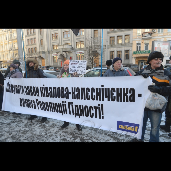 26 січня 2017 пікет Конституційного Суду України, де розпочалося засідання щодо визначення конституційности 
