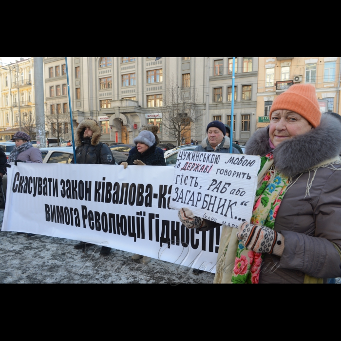 26 січня 2017 пікет Конституційного Суду України, де розпочалося засідання щодо визначення конституційности 