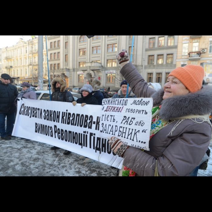 26 січня 2017 пікет Конституційного Суду України, де розпочалося засідання щодо визначення конституційности 