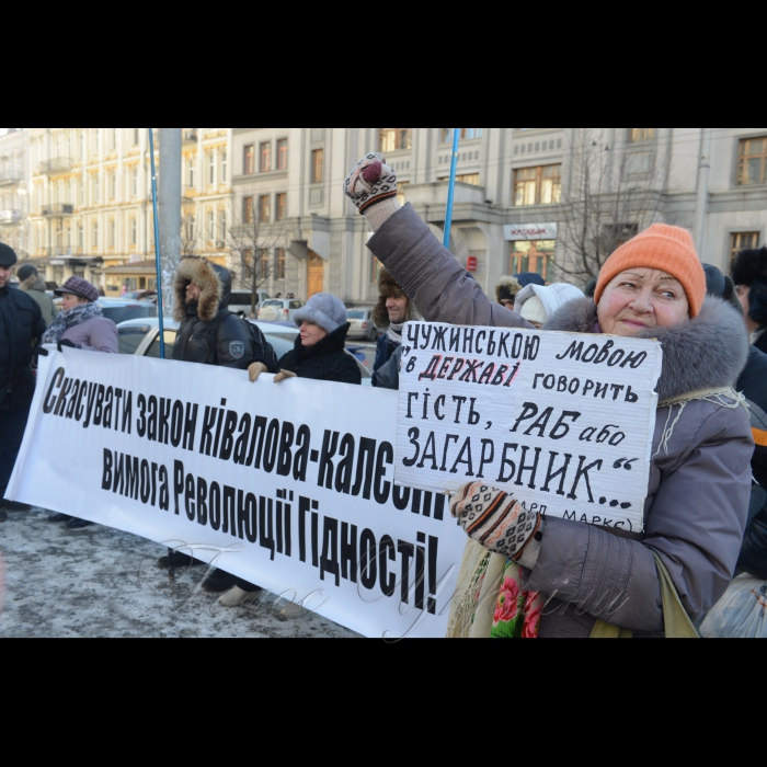 26 січня 2017 пікет Конституційного Суду України, де розпочалося засідання щодо визначення конституційности 