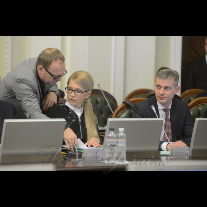 6 лютого 2017 погоджувальна рада керівників депутатських фракцій і груп у ВР.
Сергій Власенко, Юлія Тимошенко - Батьківщина, Руслан Сидорович - САМ.