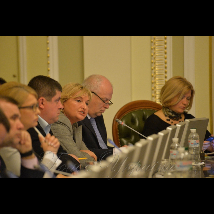 3 квітня 2017 погоджувальна рада ВР.
Юлія Тимошенко, Олег Березюк, Максим Бурбак, Ірина Луценко, Степан Кубів, Ірина Геращенко.