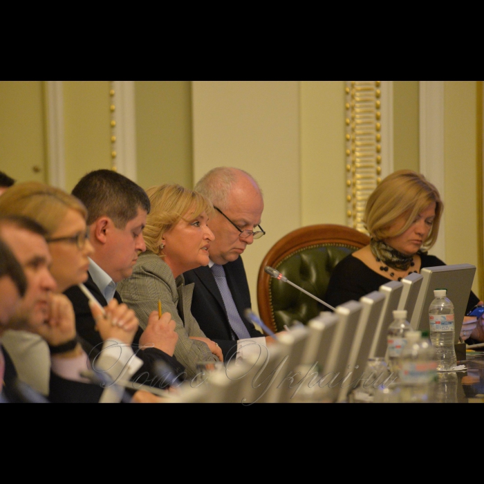 3 квітня 2017 погоджувальна рада ВР.
Юлія Тимошенко, Олег Березюк, Максим Бурбак, Ірина Луценко, Степан Кубів, Ірина Геращенко.