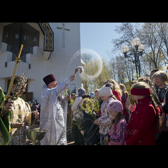 9 квітня 2017 свято української родини на Вербну неділю біля Миколаївського храму на Татарці у Києві, У програмі: освячення верби, майстер-клас з писанкарства.