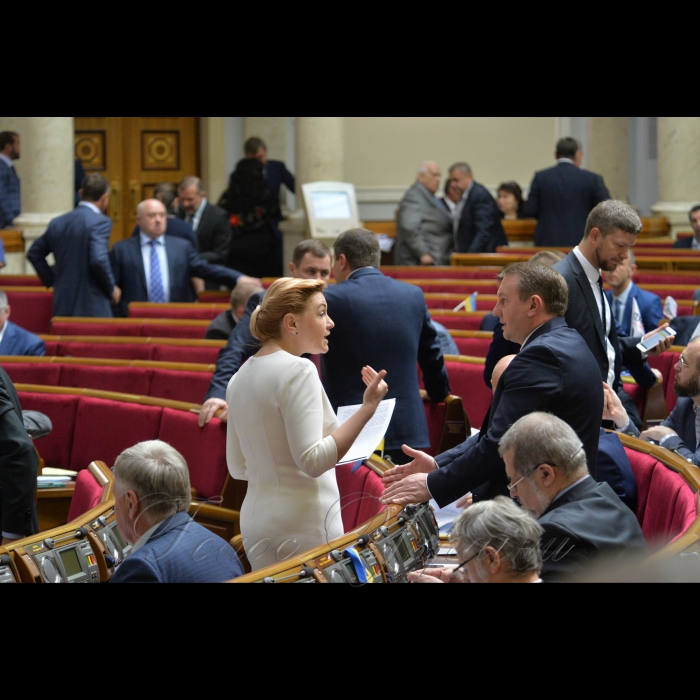16 травня 2017 пленарне засідання Верховної Ради України.
Оксана Продан, Іван Рибак - БПП.