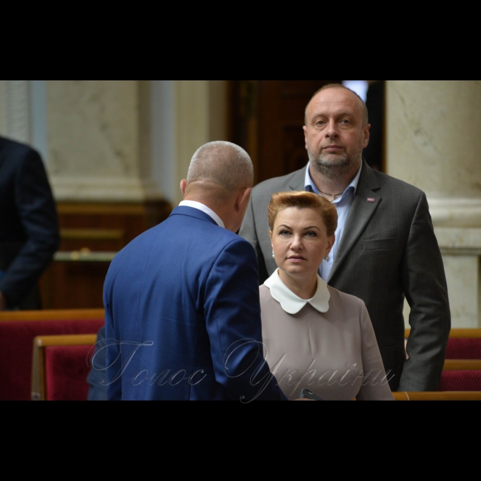 17 травня 2017 пленарне засідання Верховної Ради України.
Оксана Продан, Андрій Кіт - БПП.