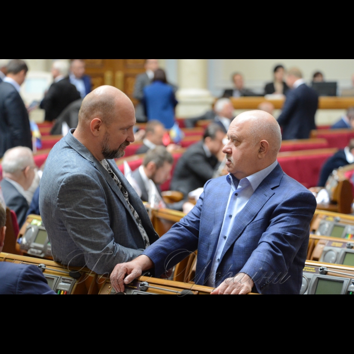 24 травня 2017 пленарне засідання Верховної Ради України.
Сергій Мельничук, Віктор Развадовський - Воля.