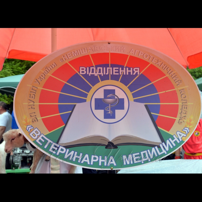 26 травня 2017 Національний університет біоресурсів і природокористування України відсвяткував своє 119-річчя.