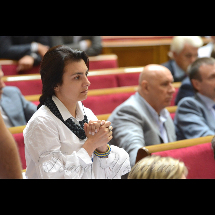 20 червня 2017 пленарне засідання Верховної Ради України
Прийнято за основу проект Закону «Про внесення змін до Господарського процесуального кодексу України, Цивільного процесуального кодексу України, Кодексу адміністративного судочинства України та інших законодавчих актів».
Вікторія Войціцька - Сам.