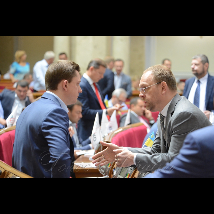 22 червня 2017 пленарне засідання Верховної Ради України.
Прийнято Закон «Про внесення змін до деяких законодавчих актів України щодо посилення відповідальності за порушення правил паркування, зупинки, стоянки транспортних засобів на місцях, призначених для осіб з інвалідністю».
Прийнято за основу проект Закону «Про Конституційний Суд України».
Олесь Довгий Воля, Сергій Власенко Б.