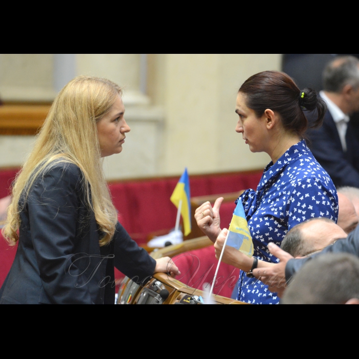 23 червня 2017 пленарне засідання Верховної Ради України
А. Парубій повідомив, що у засіданні беруть участь члени Кабінету Міністрів на чолі з Прем’єр-міністром Володимиром Гройсманом. 
Розпочалася «година запитань до Уряду».
Оксана Юринець БПП, Ганна Гопко позафр.