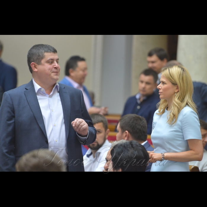 13 липня 2017 пленарне засідання Верховної Ради України.
Прийнято Постанову 
