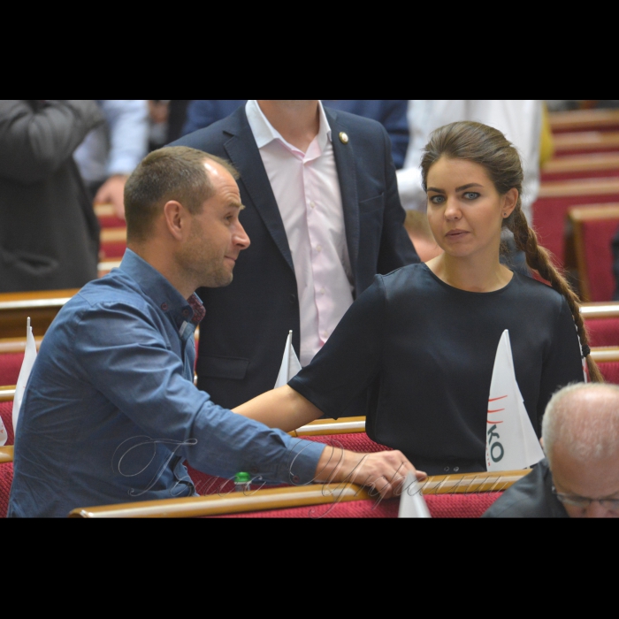 22 вересня 2017 засідання ВР.
Олексій Кириченко, Олена Кошелєва НФ.