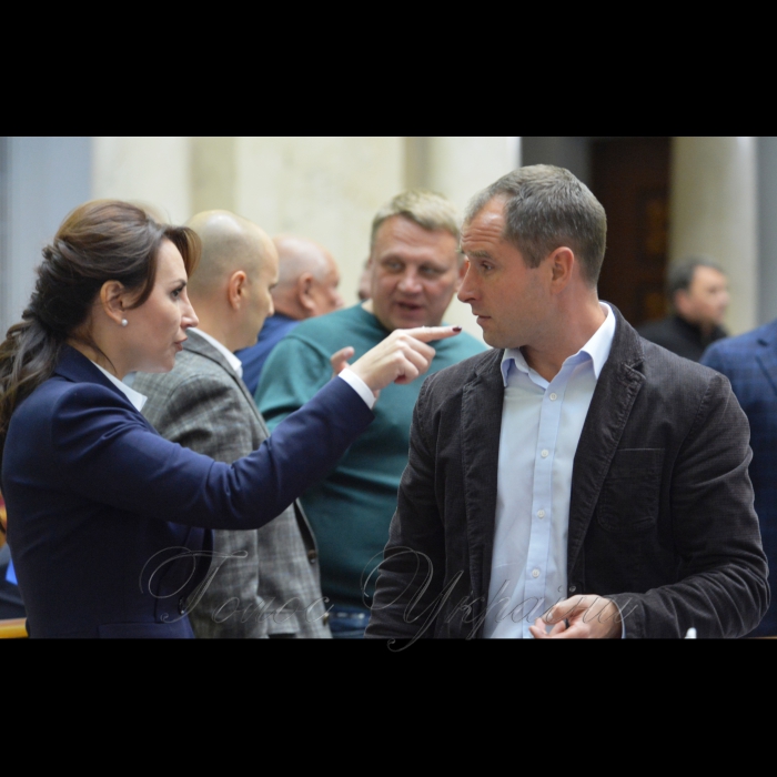 4 жовтня 2017 засідання ВР.
Ірина Сисоєнко Сам., Олексій Кириченко РП.