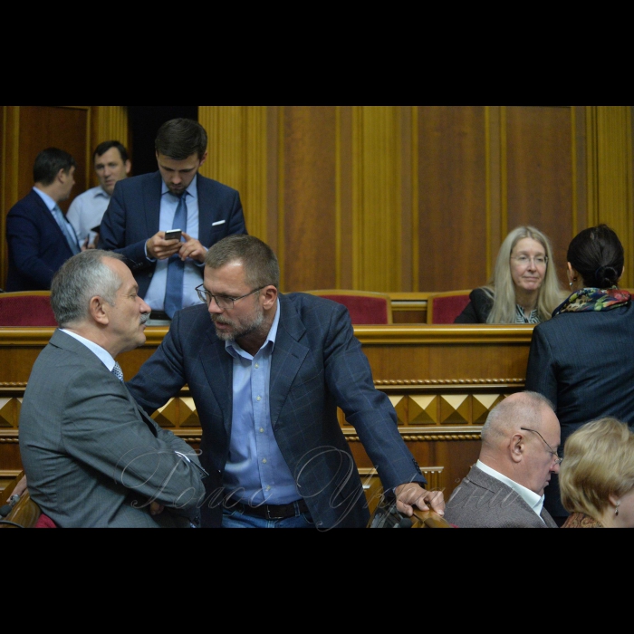 Пленарне засідання Верховної Ради України. Віктор Пинзеник-БПП, Вадатурський Андрій