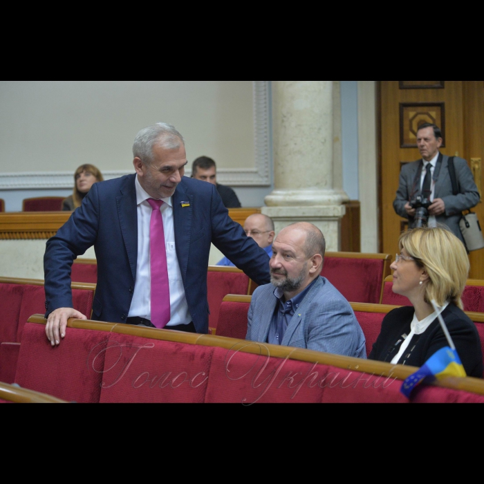 Пленарне засідання Верховної Ради України. Олег Мусій, Сергій Мельничук -позафракційні, Ольга Богомолець -БПП